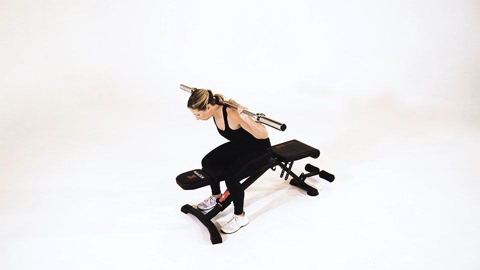 Buenos días sentado