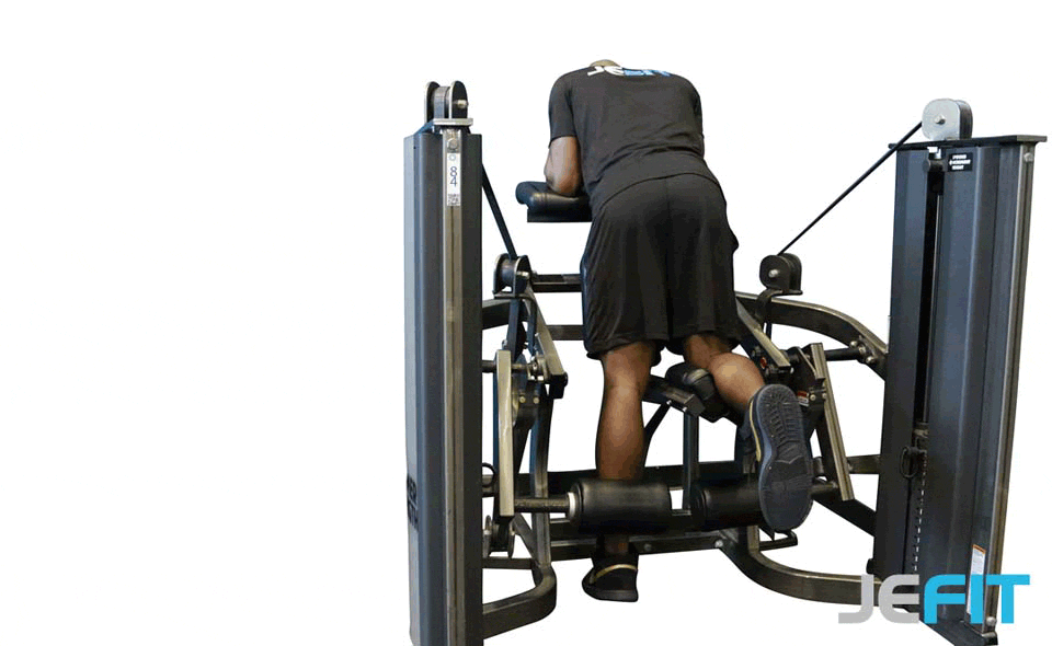 Curl de Pierna de Rodillas